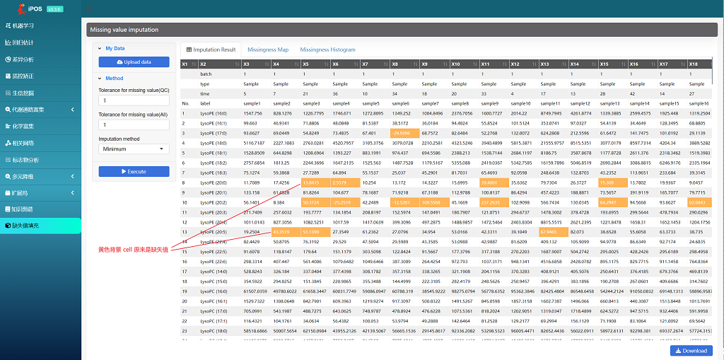 缺失值插补图示例