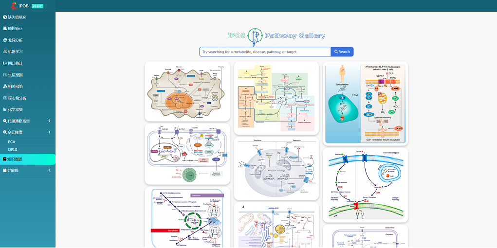 通路分析图示例